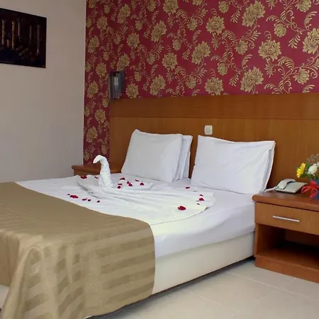 Surtel 3*